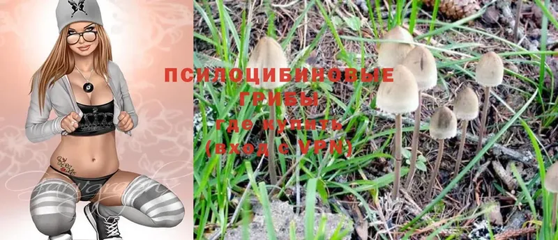 OMG сайт  Белоусово  Галлюциногенные грибы Psilocybe 